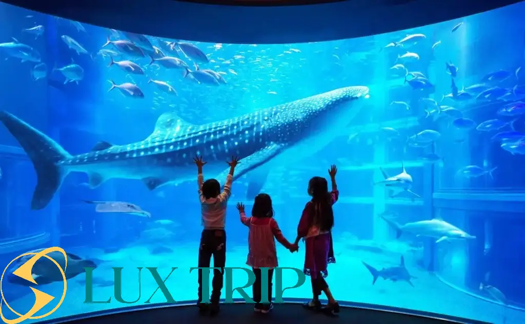 آکواریوم اوساکا کایوکان