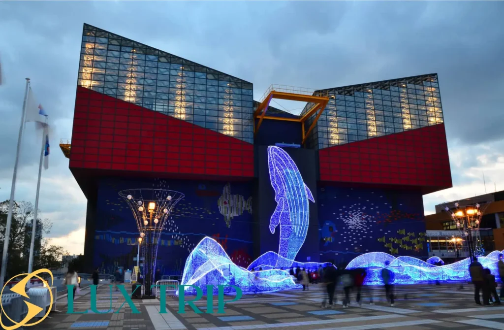 آکواریوم کایوکان