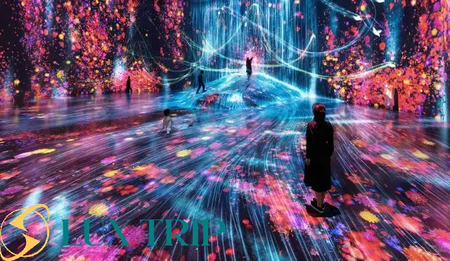 تیم لب ژاپن