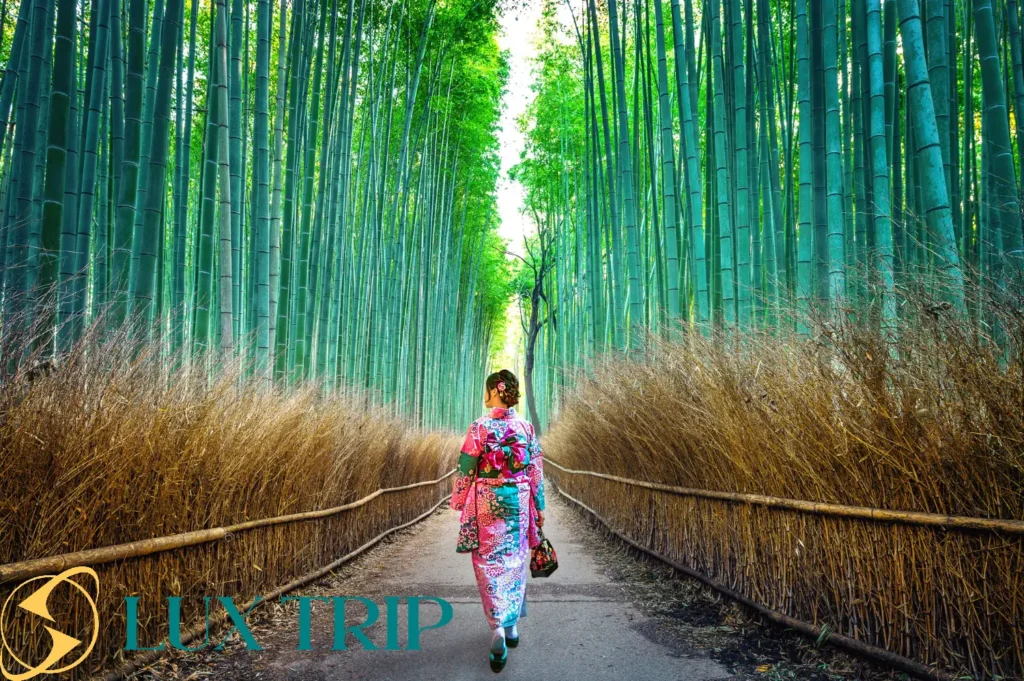 جنگل بامبو آراشیاما