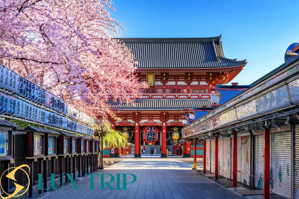 راهنمای جامع سفر به توکیو