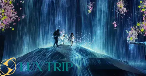 موزه هنرهای دیجیتال تیم لب