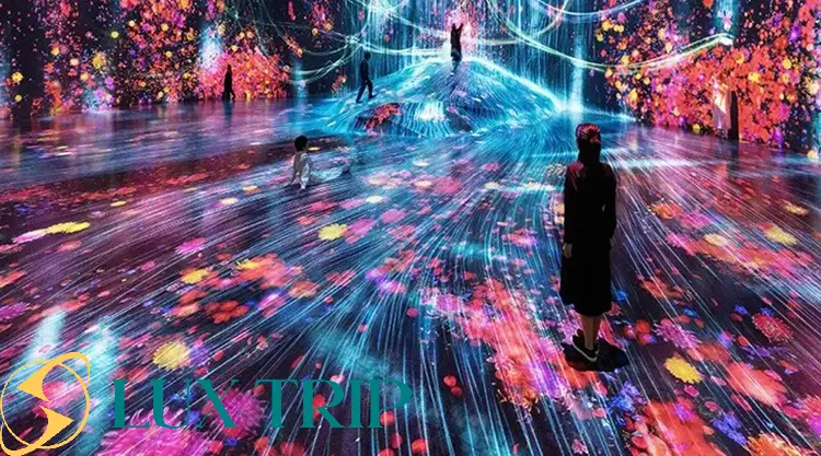 موزه هنرهای دیجیتال تیم‌لب