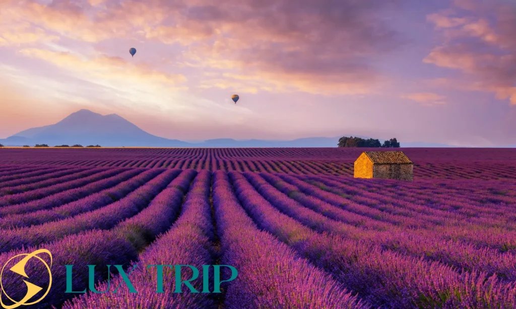 پروانس فرانسه