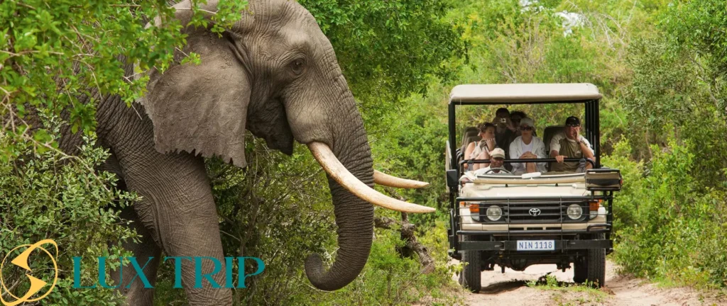 تاریخچه پارک ملی کروگر