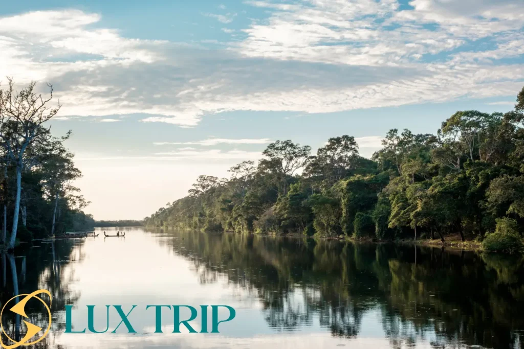 جنگل آمازون