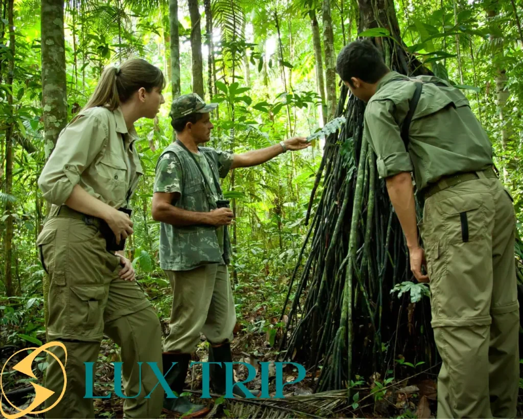 جنگل و رودخانه آمازون