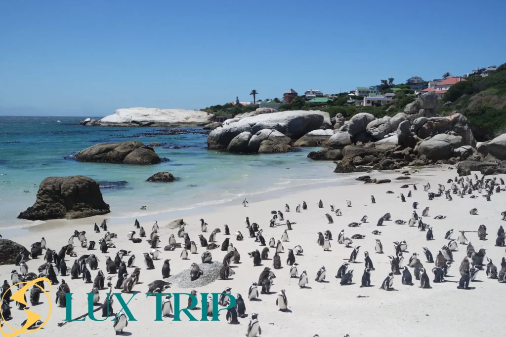 ساحل بولدرز آفریقای جنوبی