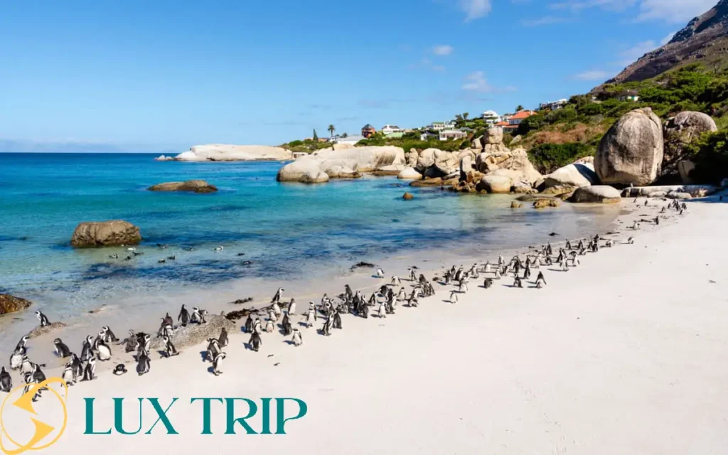 ساحل بولدرز