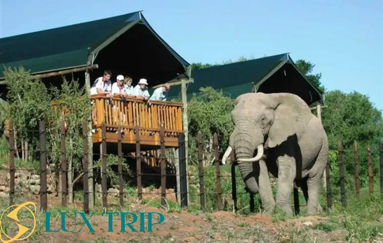 پارک ملی آدو الفنت آفریقا