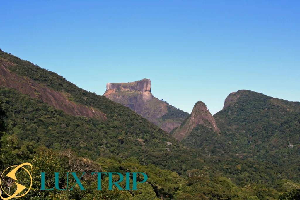 پارک ملی تیجوکا