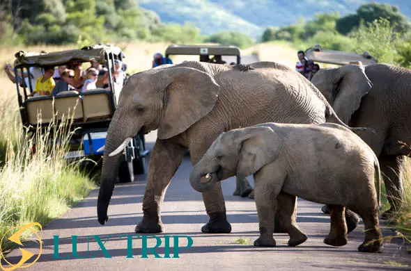 پارک ملی پیلانسبرگ آفریقای جنوبی