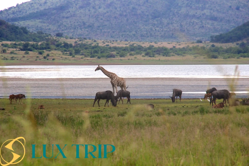 پارک ملی پیلانسبرگ