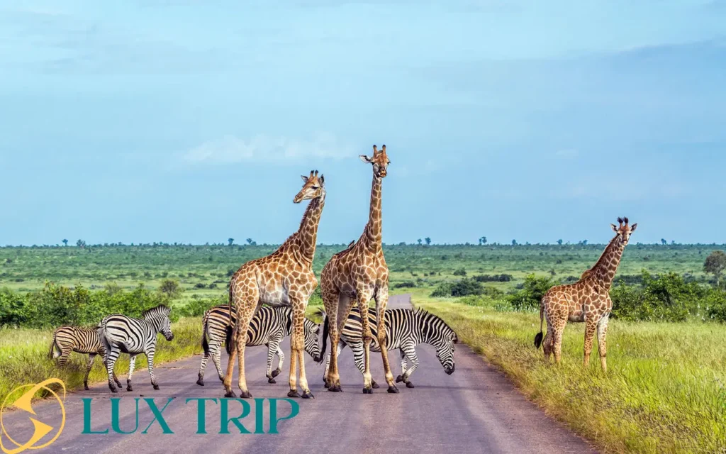 پارک ملی کروگر کجاست