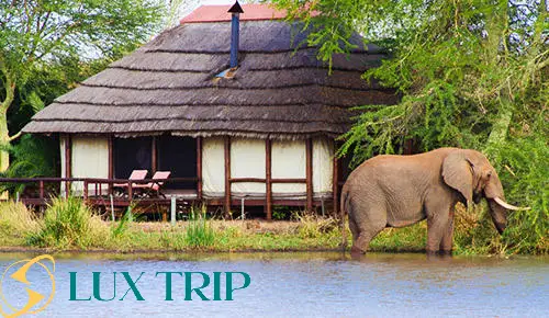 پارک ملی کروگر