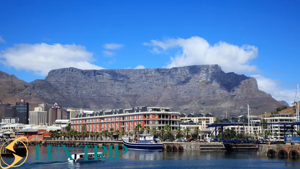 کوه تیبل آفریقا