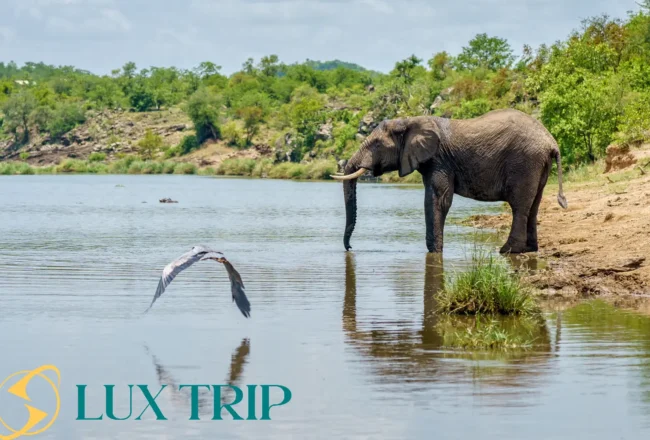 پارک ملی آدو الفنت بهترین زمان بازدید و نکات ضروری سفر