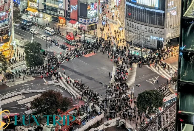 چهارراه شیبویا رازهای پنهان شلوغ‌ترین تقاطع جهان در قلب توکیو ژاپن