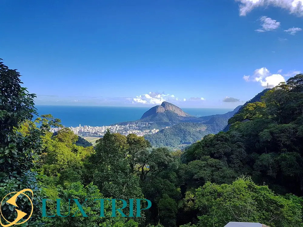 پارک تیجوکا برزیل