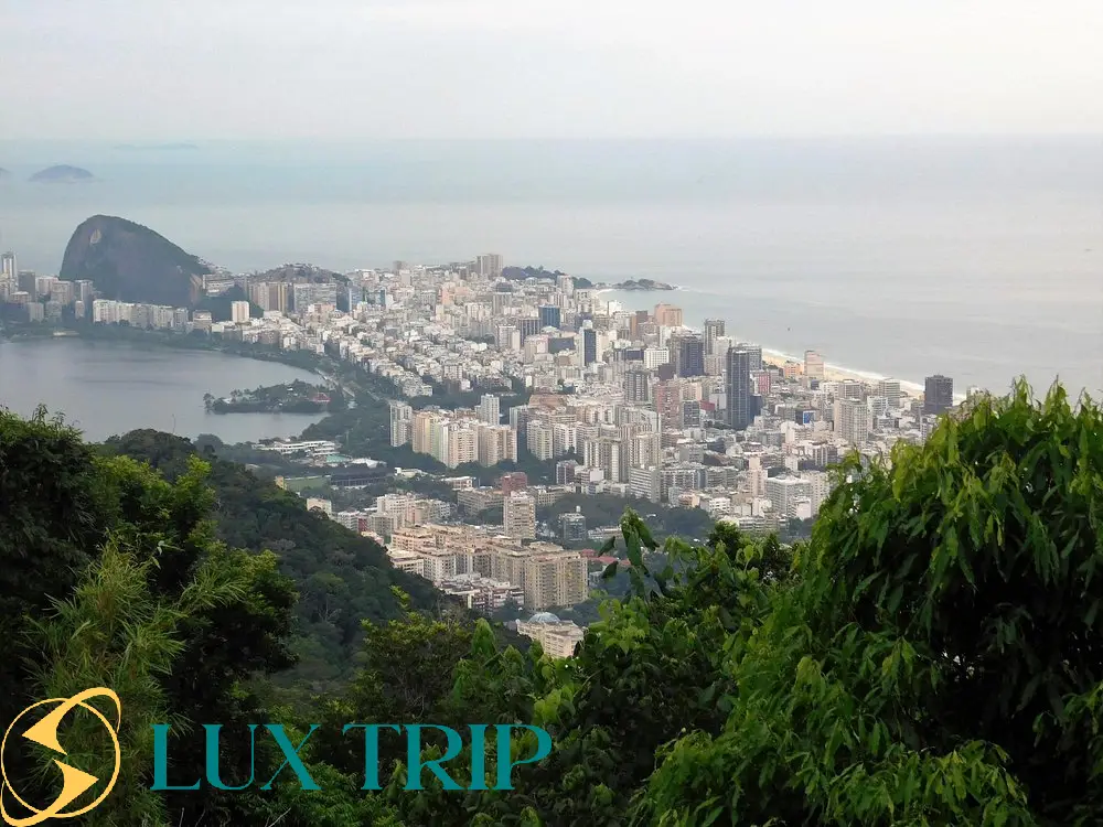 پارک جنگل تیجوکا برزیل