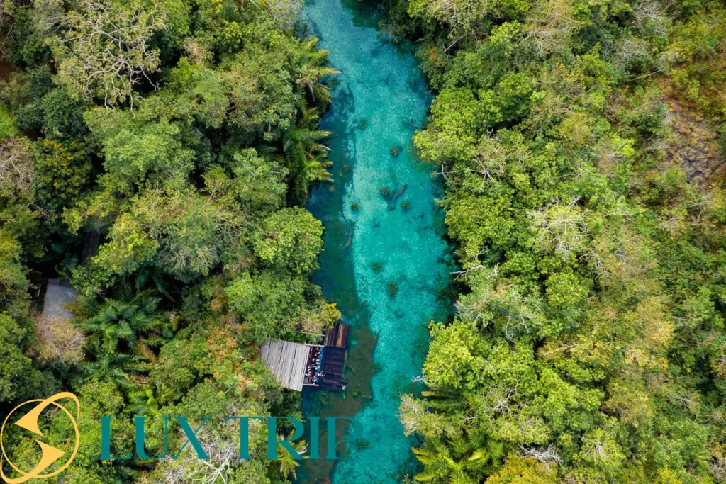 بونیتو برزیل