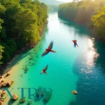 شهر بونیتو: راهنمای کامل سفر به بهشت پنهان برزیل