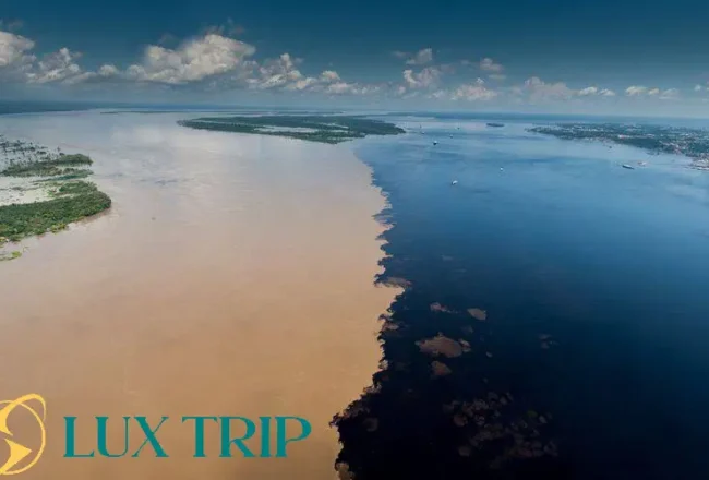 تلاقی آب‌ها در مانائوس راهنمای کامل سفر به محل برخورد دو رود برزیل