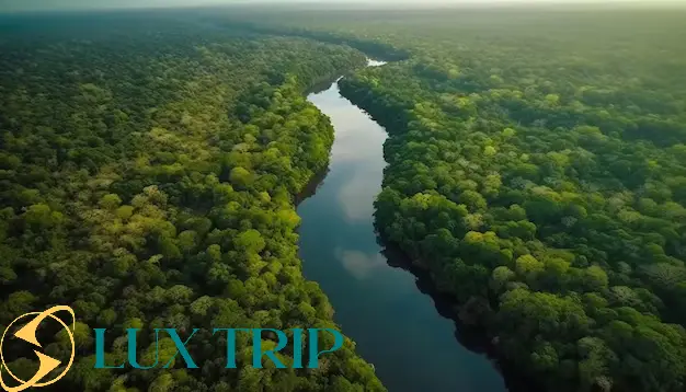 مساحت جنگل آمازون چقدر است؟ از سال ۱۹۷۰ تا امروز (با آمار ماهواره‌ای)